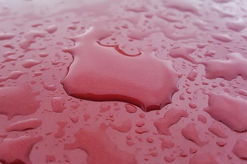 Décontamination<br> de la peinture Forbach